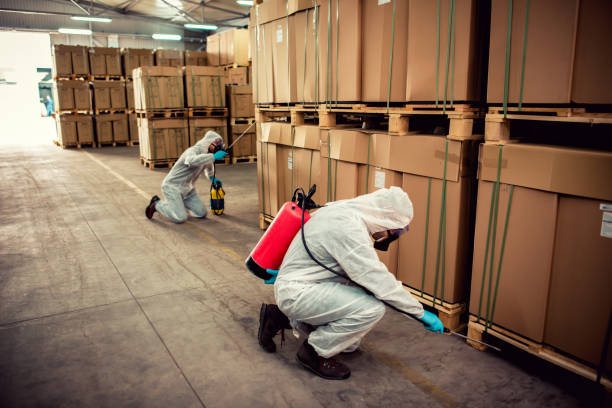 Best Pest Control Near Me in Rockwood, TN
