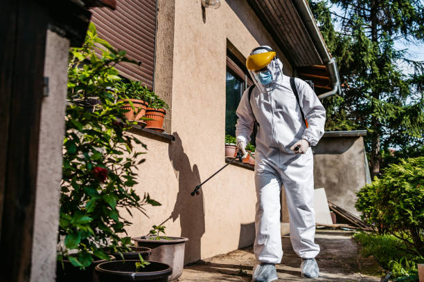 Best Mosquito Control Services  in Rockwood, TN