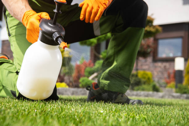 Best Pest Prevention Services  in Rockwood, TN