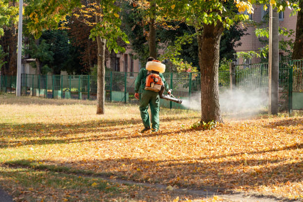 Best Best Pest Control Companies  in Rockwood, TN