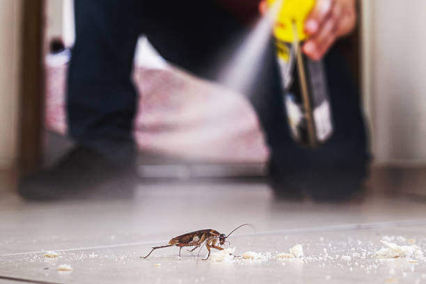 Best Pest Removal Services  in Rockwood, TN